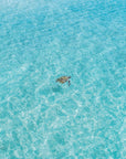 WA_MW_0006 - Cape Peron, Shark Bay - Sand to Summit