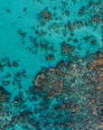 WA_SW_0008 - Bunker Bay, Dunsborough - Sand to Summit