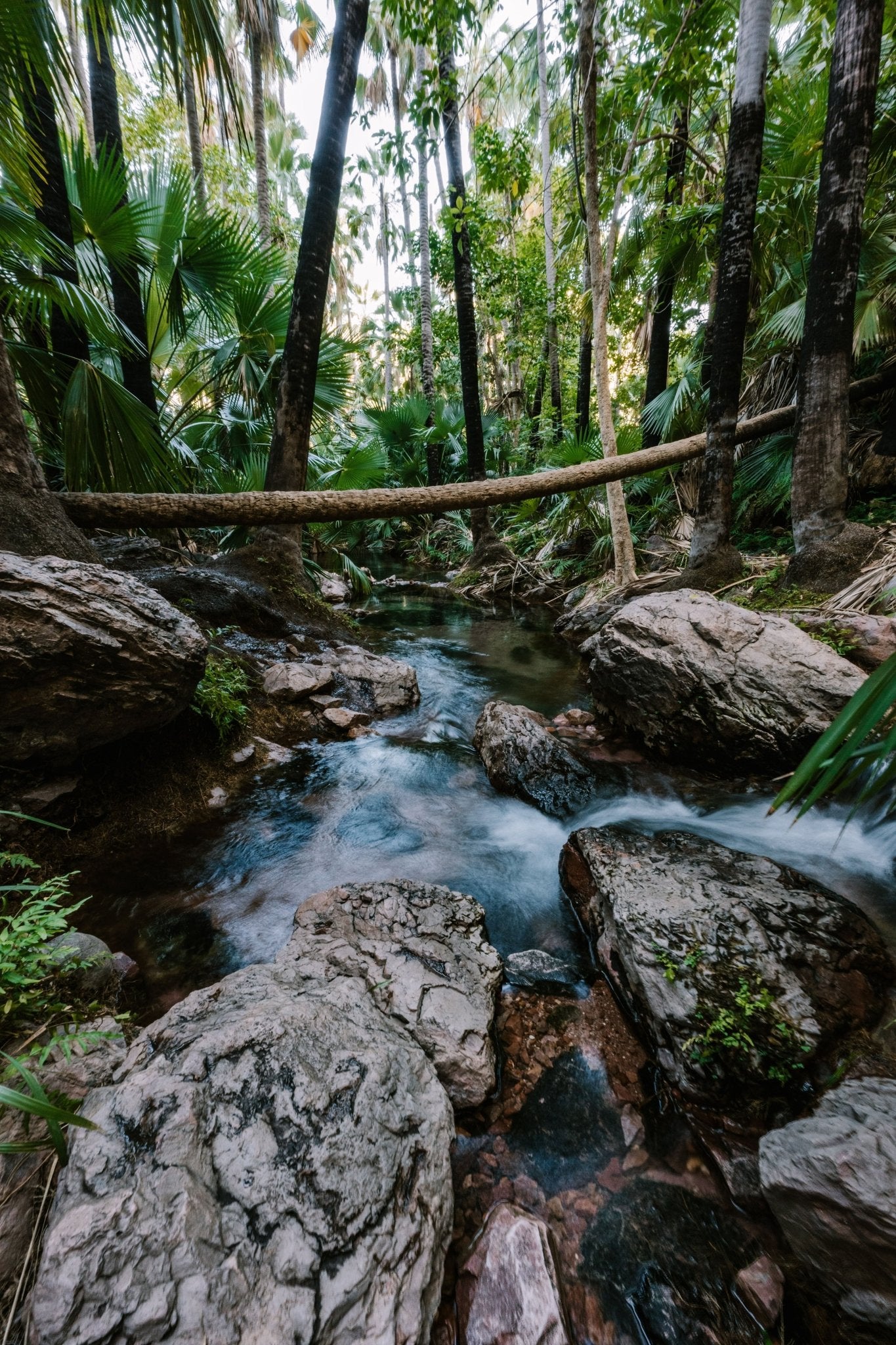 WA_NW_0044 - Zebedee Springs, El Questro - Sand to Summit